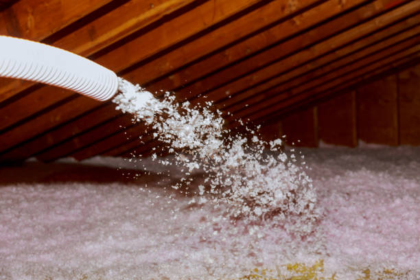 Best Commercial Insulation in Lovell, WY